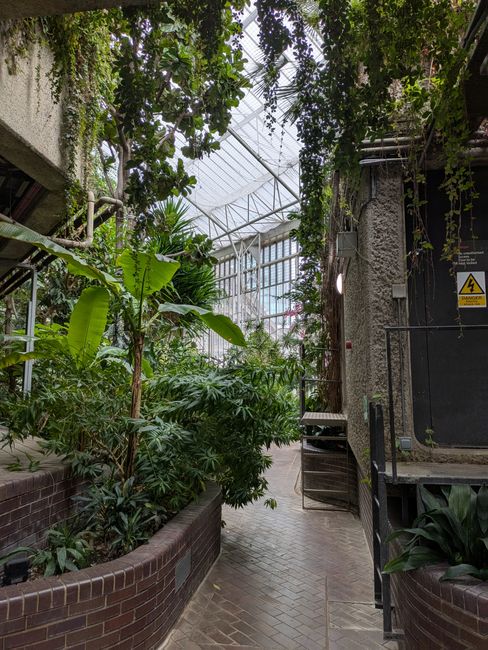 A small outdoor garden area featuring a wooden bench placed on a curved brick pathway. Surrounding the bench are various lush green plants, including low-growing grasses with wispy seed heads, broad-l